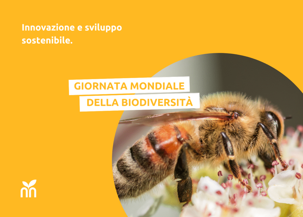 Giornata Mondiale della Biodiversità