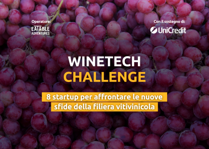 winetech challenge 8 startup per affrontare le nuove sfide della filiera vitivinicola