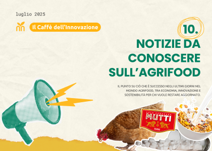 trasformazione del sistema agroalimentare italiano
