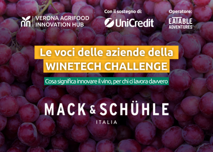 Mack & Schühle Italia