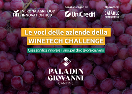 grafica blog_paladin.png