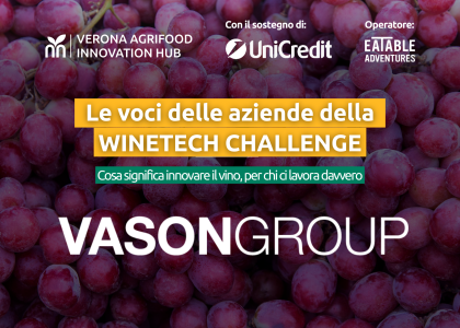 grafica blog_vason.png