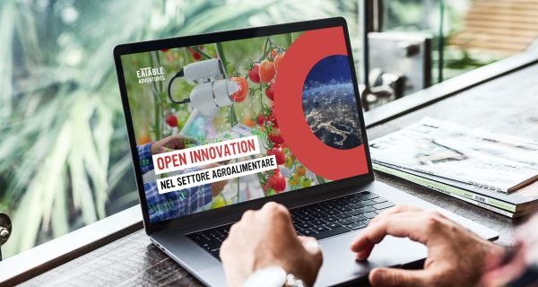 open-innovation-report-june-2023