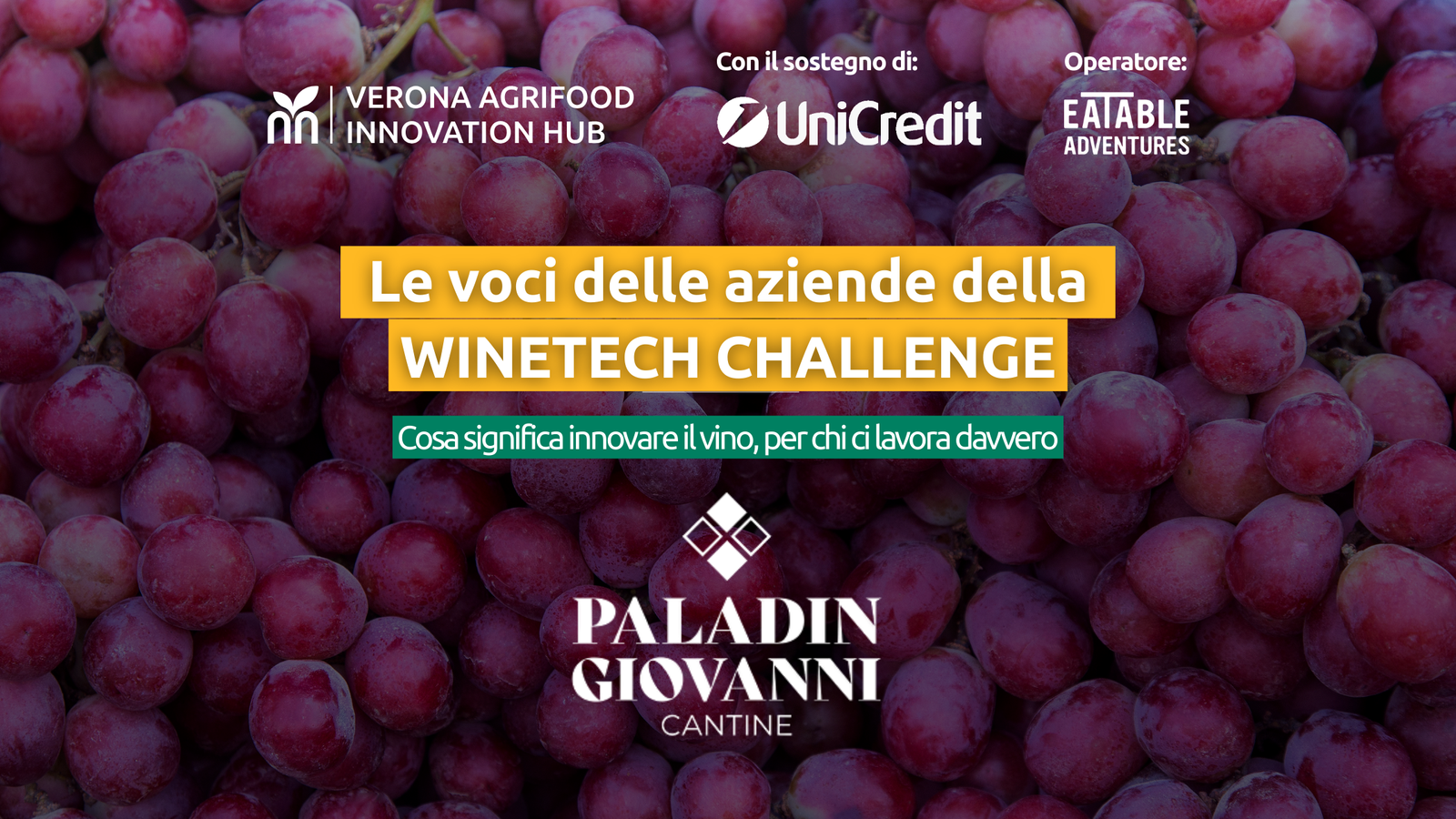 grafica blog_paladin.png